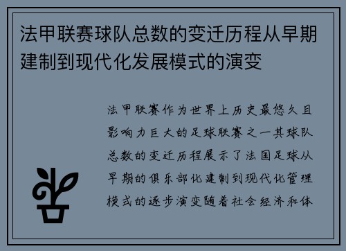 法甲联赛球队总数的变迁历程从早期建制到现代化发展模式的演变