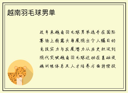 越南羽毛球男单